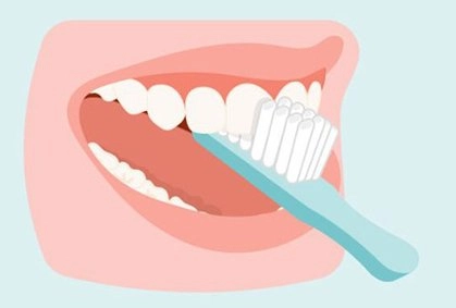 Brushing top teeth graphic