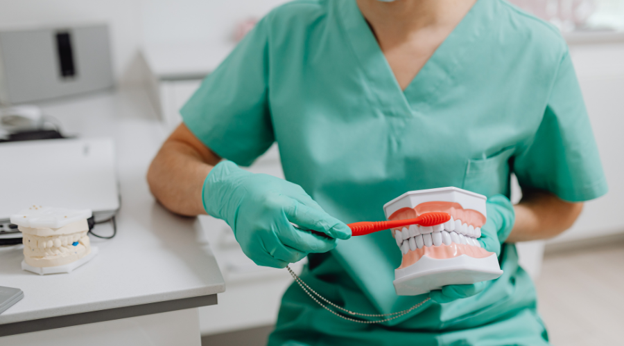 Dental Hygienist with mouth model and toothbrush